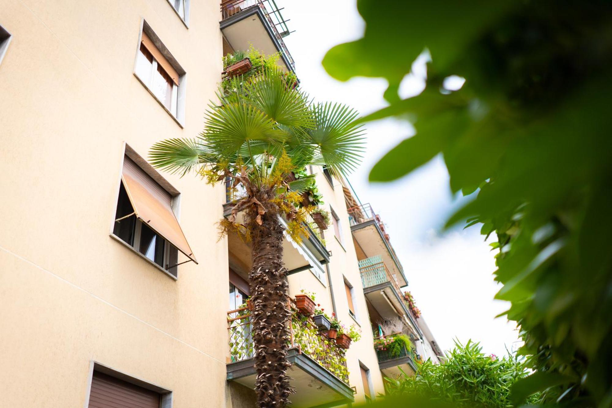 Como Lake Turati Residence Zewnętrze zdjęcie